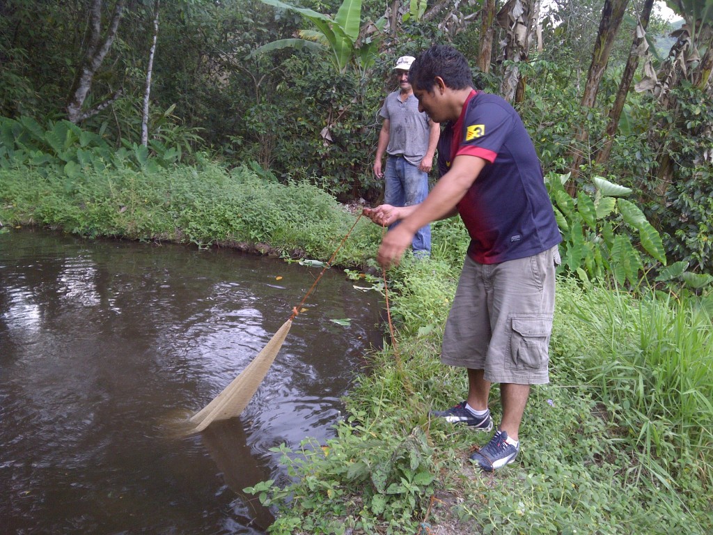 Foto de Marcala (La Paz), Honduras