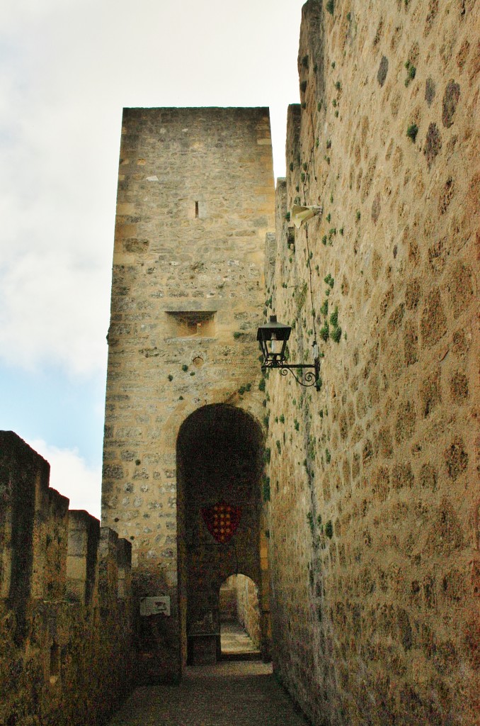 Foto: Castillo - Frias (Burgos), España