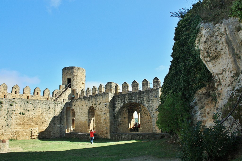 Foto: Castillo - Frias (Burgos), España