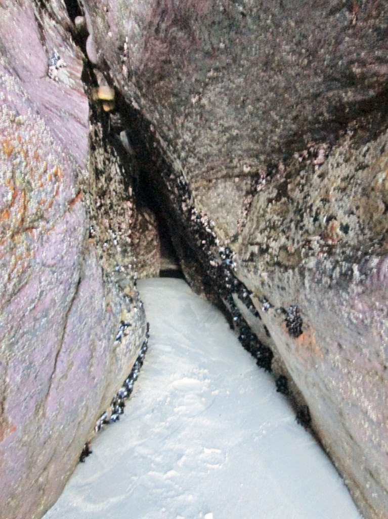 Foto: Playa de las Catedrales - Ribadeo (Lugo), España