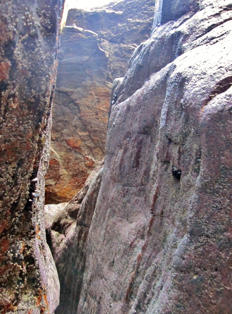 Foto: Playa de las Catedrales - Ribadeo (Lugo), España