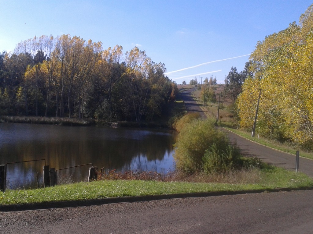 Foto: Laguna cercana al - Temuco (Araucanía), Chile