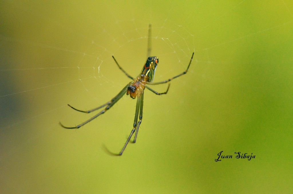 Foto de San Jose (San José), Costa Rica