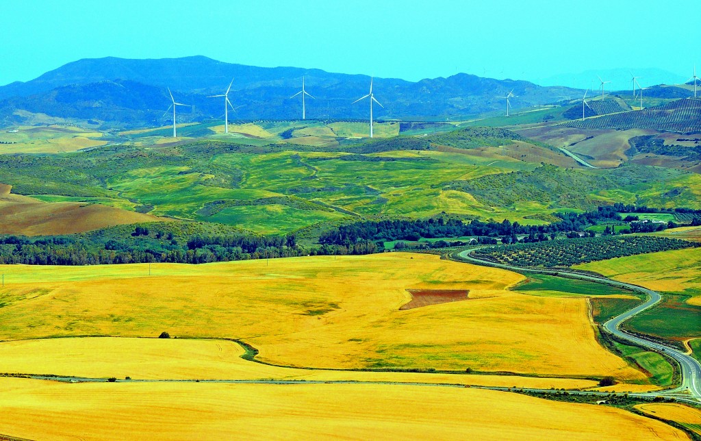 Foto: Campiña del Guadalteba - Teba (Málaga), España