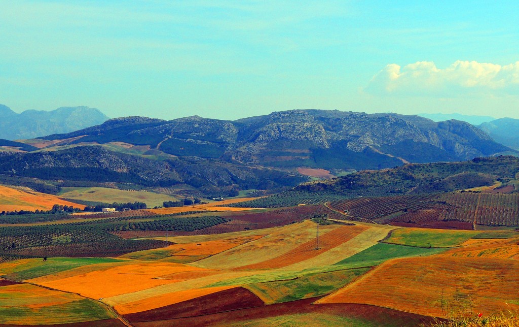 Foto: Sierra orteguicar - Teba (Málaga), España