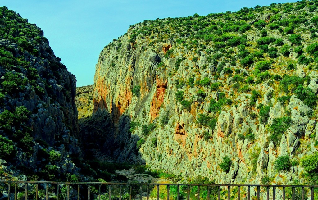 Foto de Tajo del Molino (Málaga), España