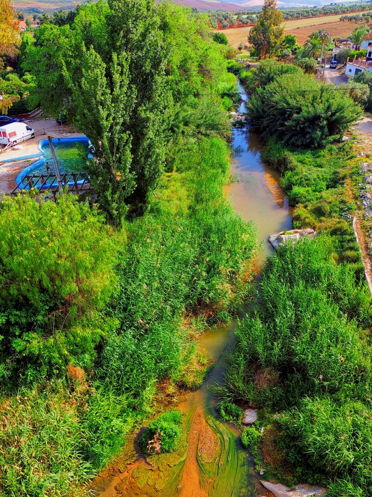 Foto de Tajo del Molino (Málaga), España