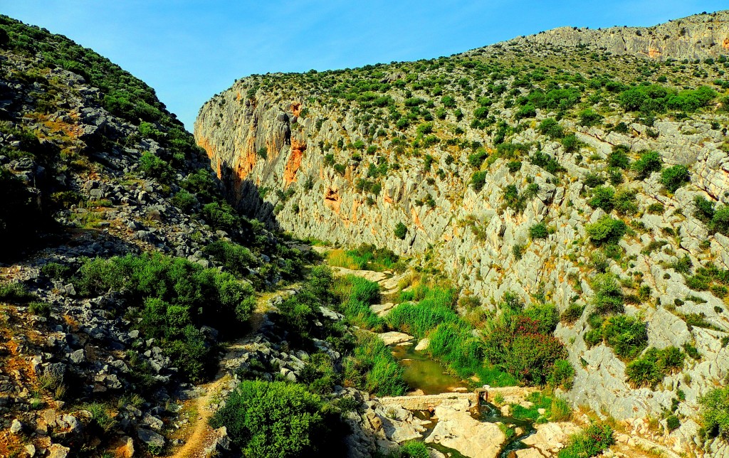 Foto de Tajo del Molino (Málaga), España