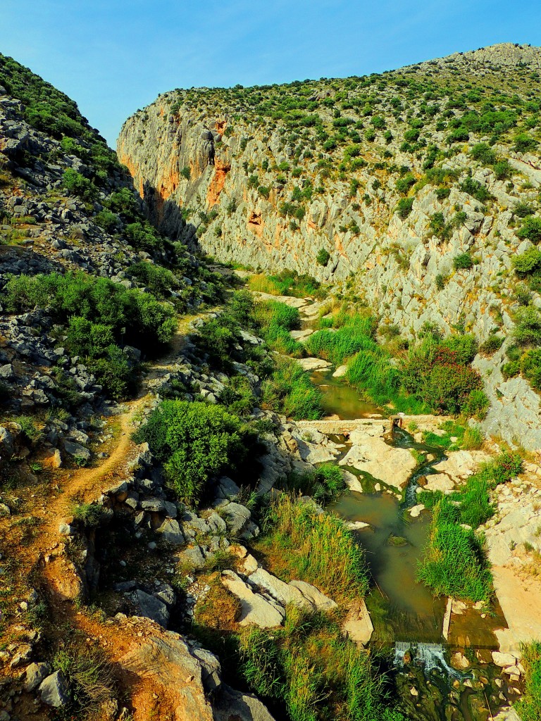 Foto de Tajo del Molino (Málaga), España