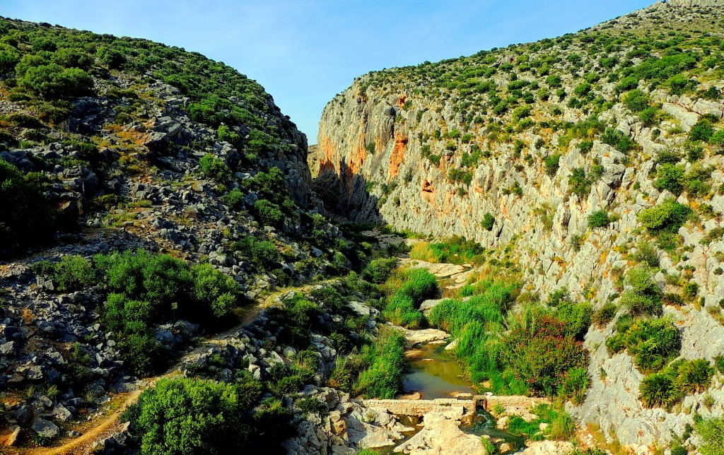 Foto de Tajo del Molino (Málaga), España
