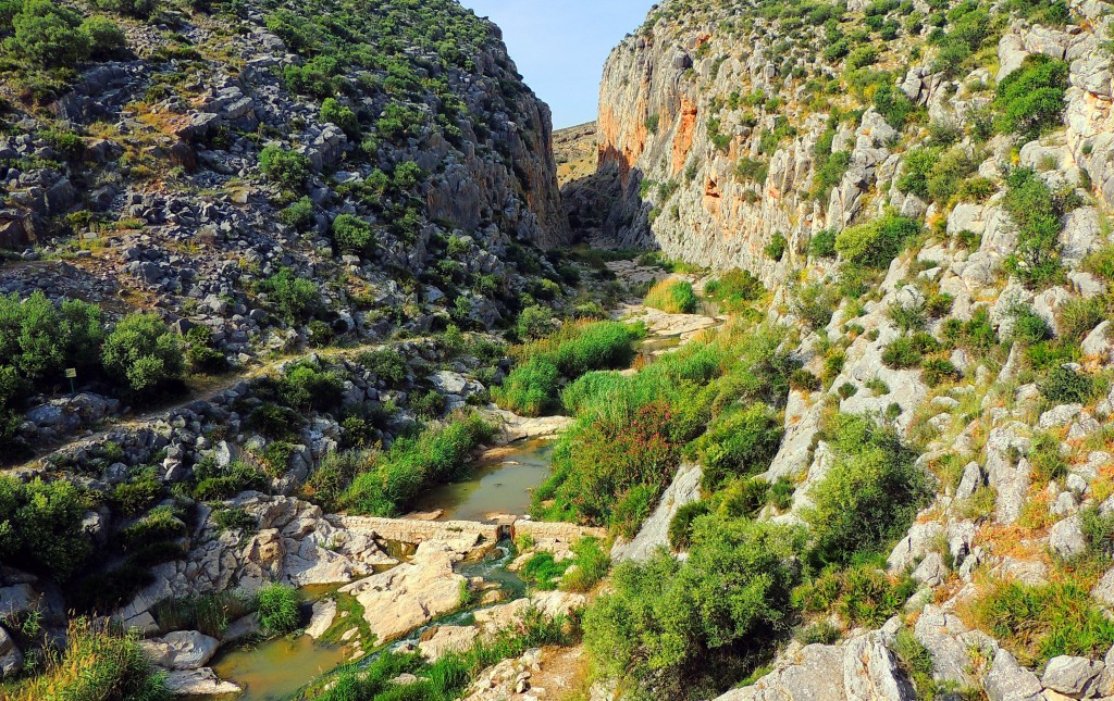 Foto de Tajo del Molino (Málaga), España