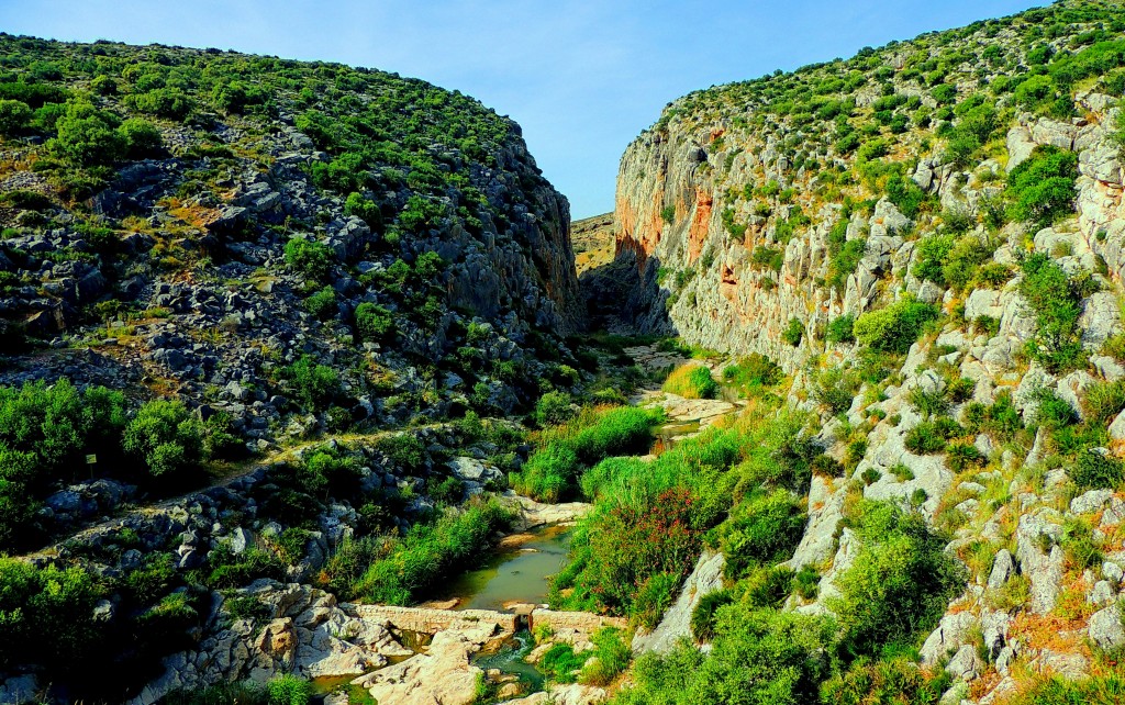 Foto de Tajo del Molino (Málaga), España