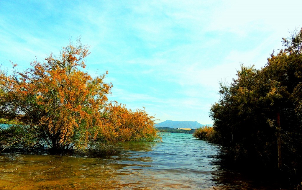 Foto: Embalse de Guadalteba - Ardales (Málaga), España