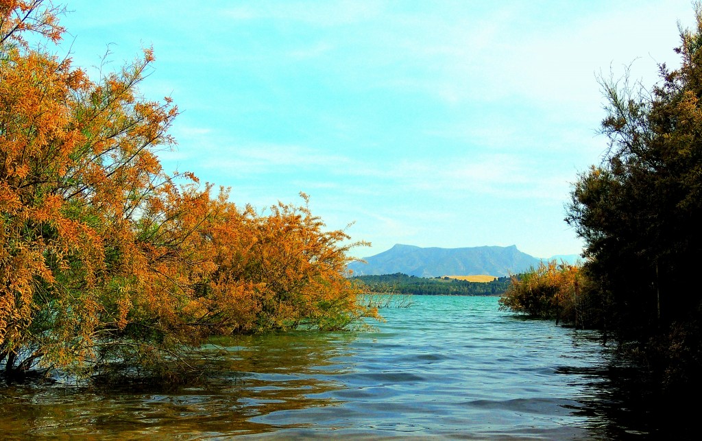 Foto: Embalse de Guadalteba - Ardales (Málaga), España