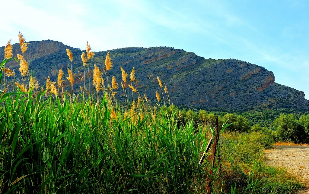 Foto: Embalse de Guadalteba - Ardales (Málaga), España