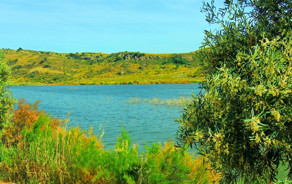 Foto: Embalse de Guadalteba - Ardales (Málaga), España
