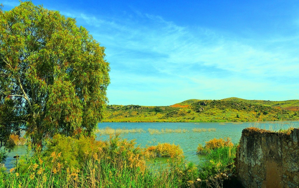 Foto: Embalse de Guadalteba - Ardales (Málaga), España