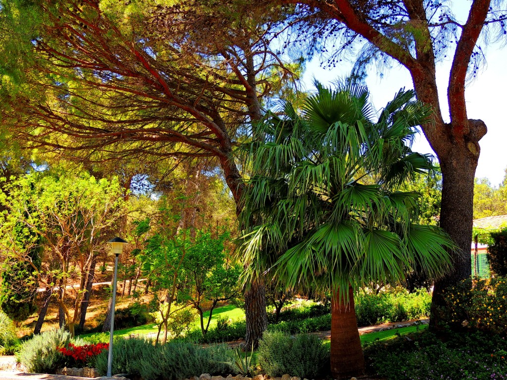 Foto: Embalse Guadalhorce-Guadalteba - Ardales (Málaga), España
