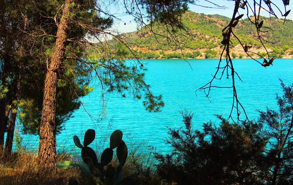 Foto: Embalse Guadalhorce-Guadalteba - Ardales (Málaga), España