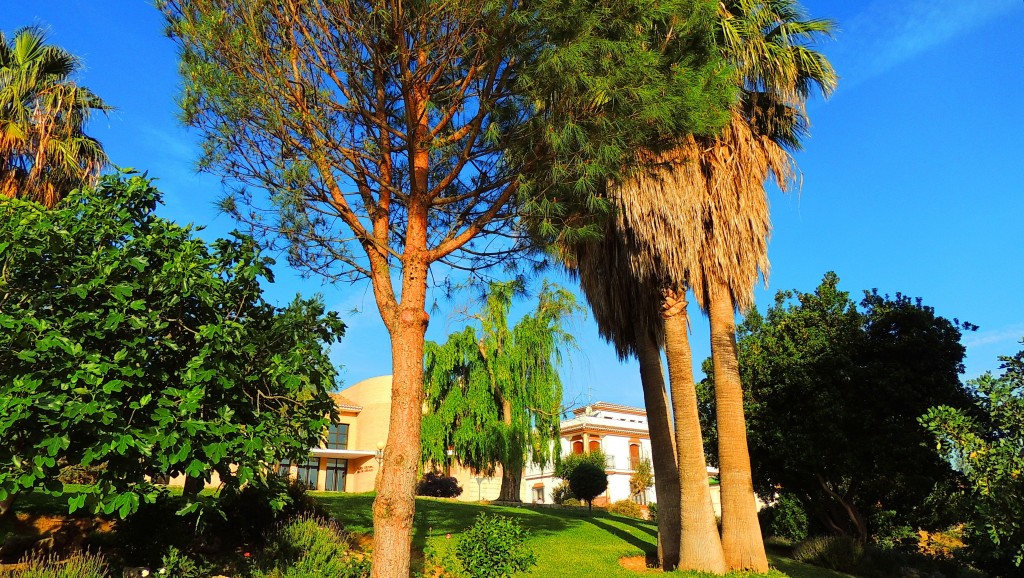 Foto de Ardales (Málaga), España