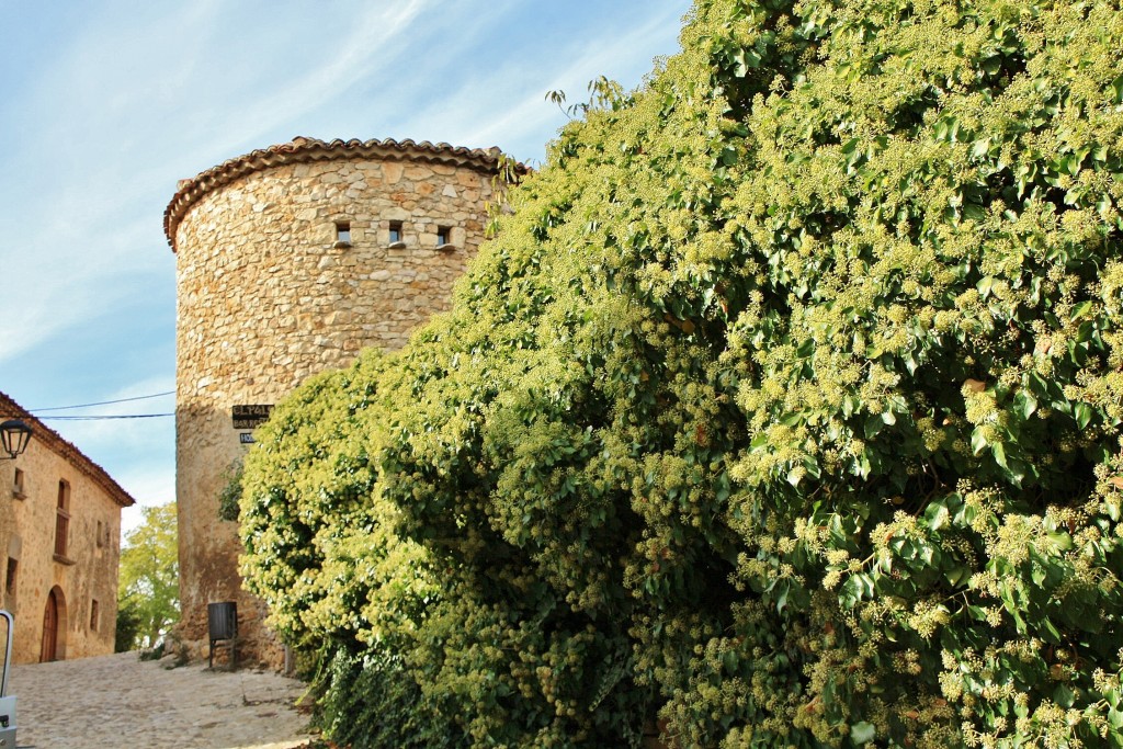 Foto: Centro histórico - Calatañazor (Soria), España
