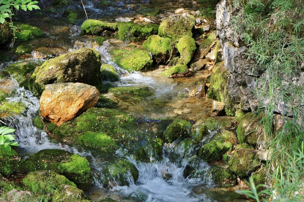 Foto: Nacimiento del rio Cardener - La Coma (Lleida), España