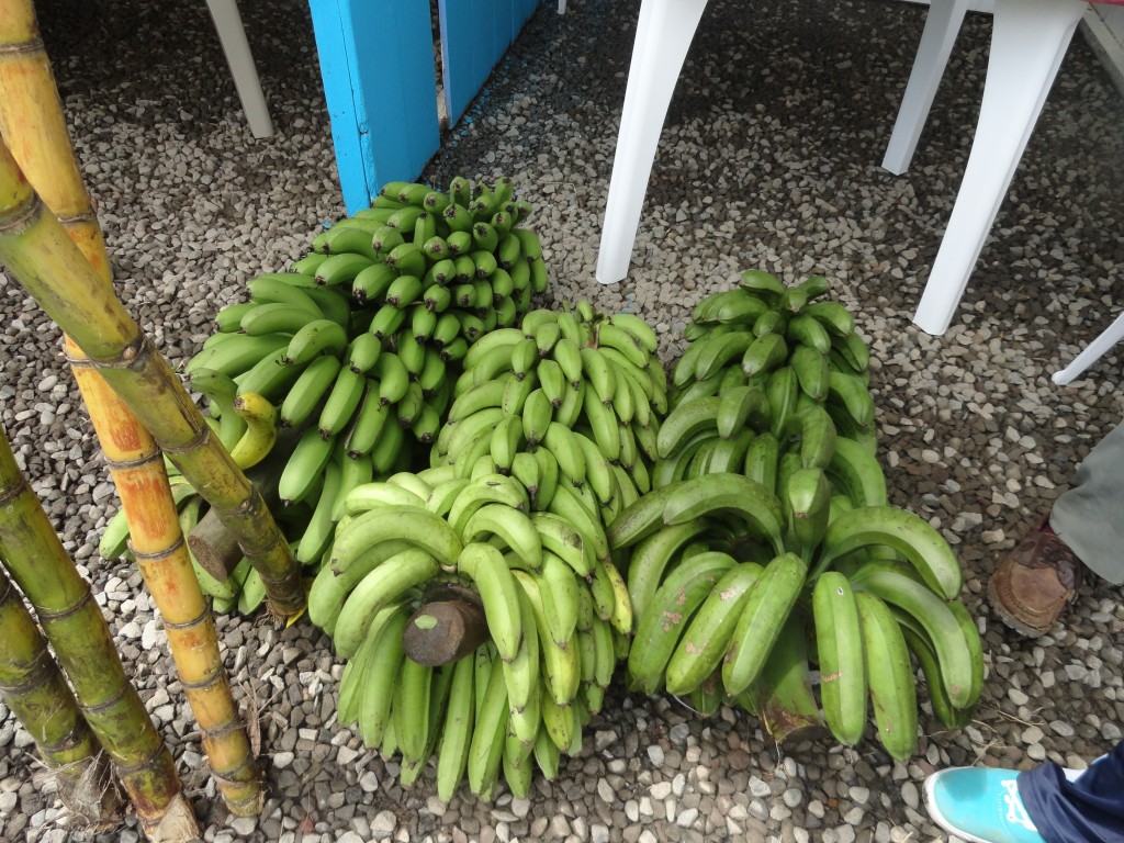 Foto: Producto de la zona - Simòn Bolìvar (Mushullacta) (Pastaza), Ecuador