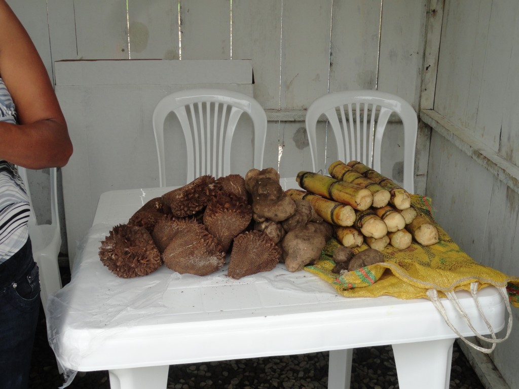 Foto: Productos - Simòn Bolìvar (Mushullacta) (Pastaza), Ecuador