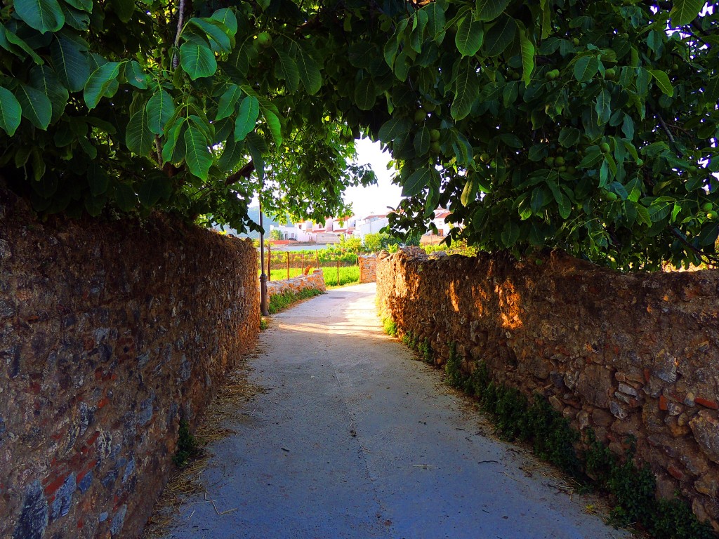 Foto de Yunquera (Málaga), España