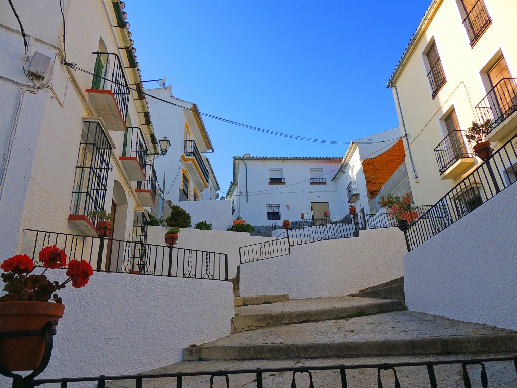 Foto: La Ladera Cámara - Yunquera (Málaga), España