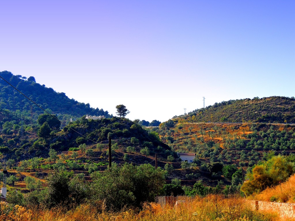 Foto: Puerto de las Abejas - Yunquera (Málaga), España