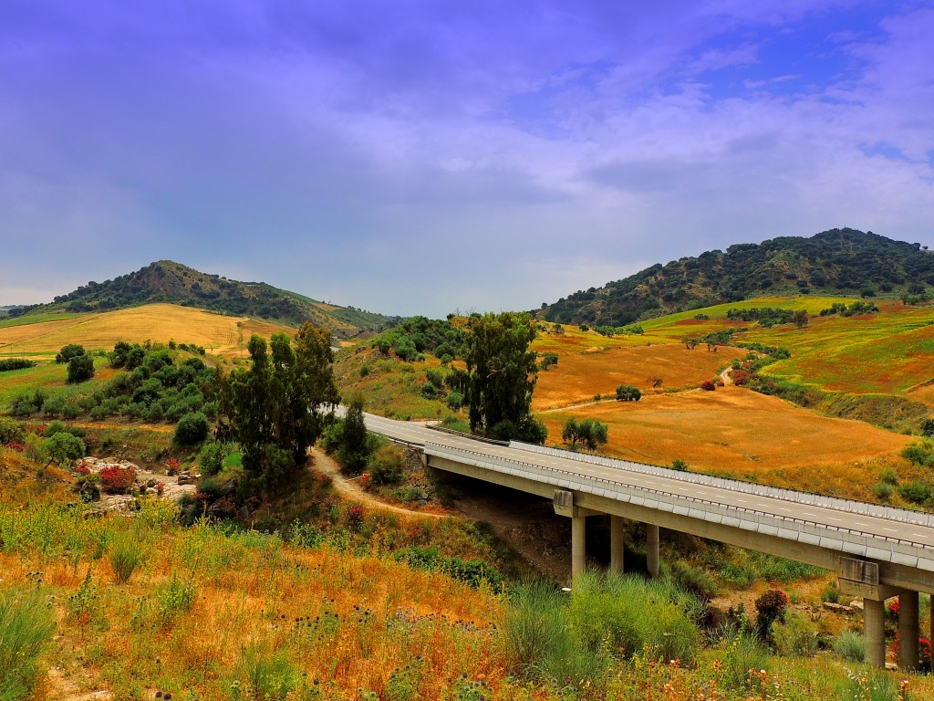 Foto: Arroyo del Palancar - Montecorto (Málaga), España