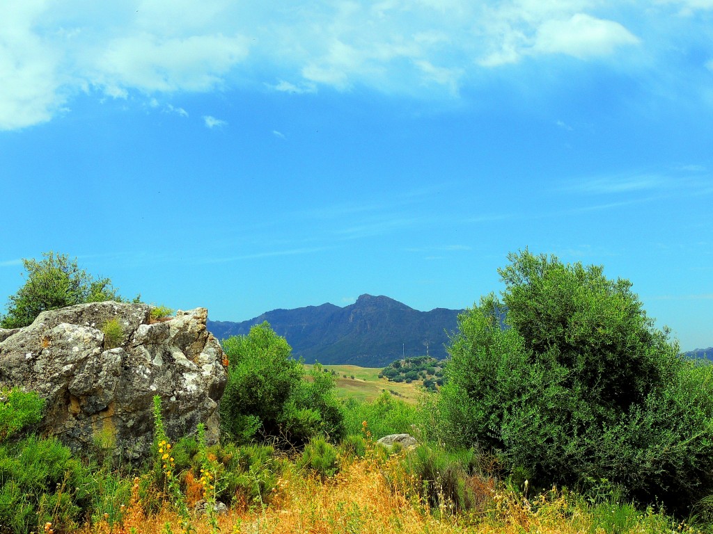 Foto de Montecorto (Málaga), España