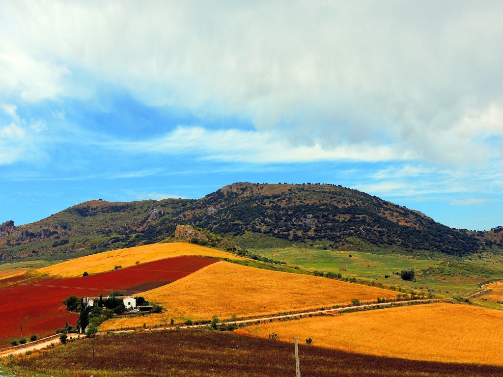 Foto de Montecorto (Málaga), España