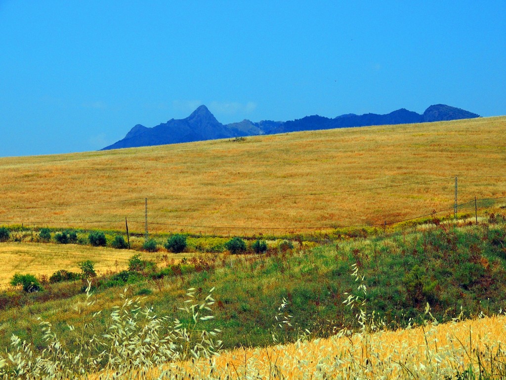 Foto de Montecorto (Málaga), España