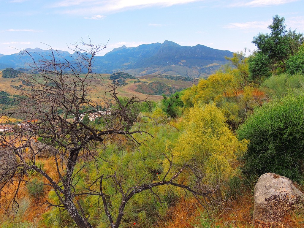 Foto de Montecorto (Málaga), España
