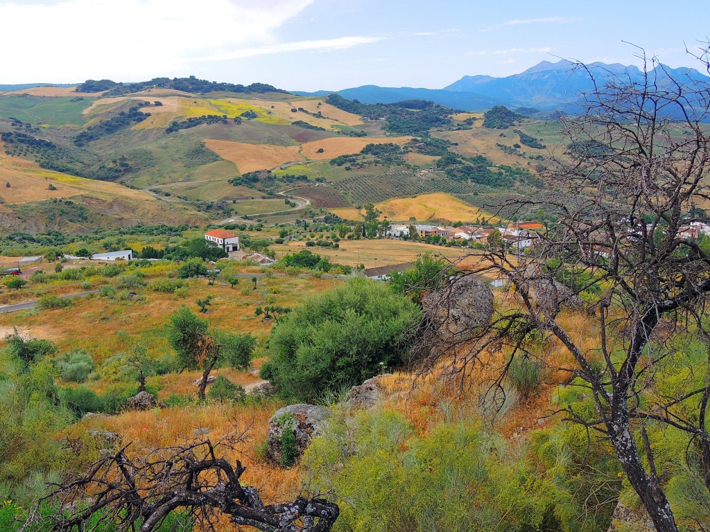 Foto de Montecorto (Málaga), España