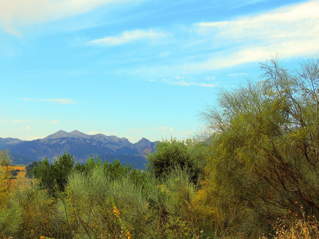 Foto de Montecorto (Málaga), España
