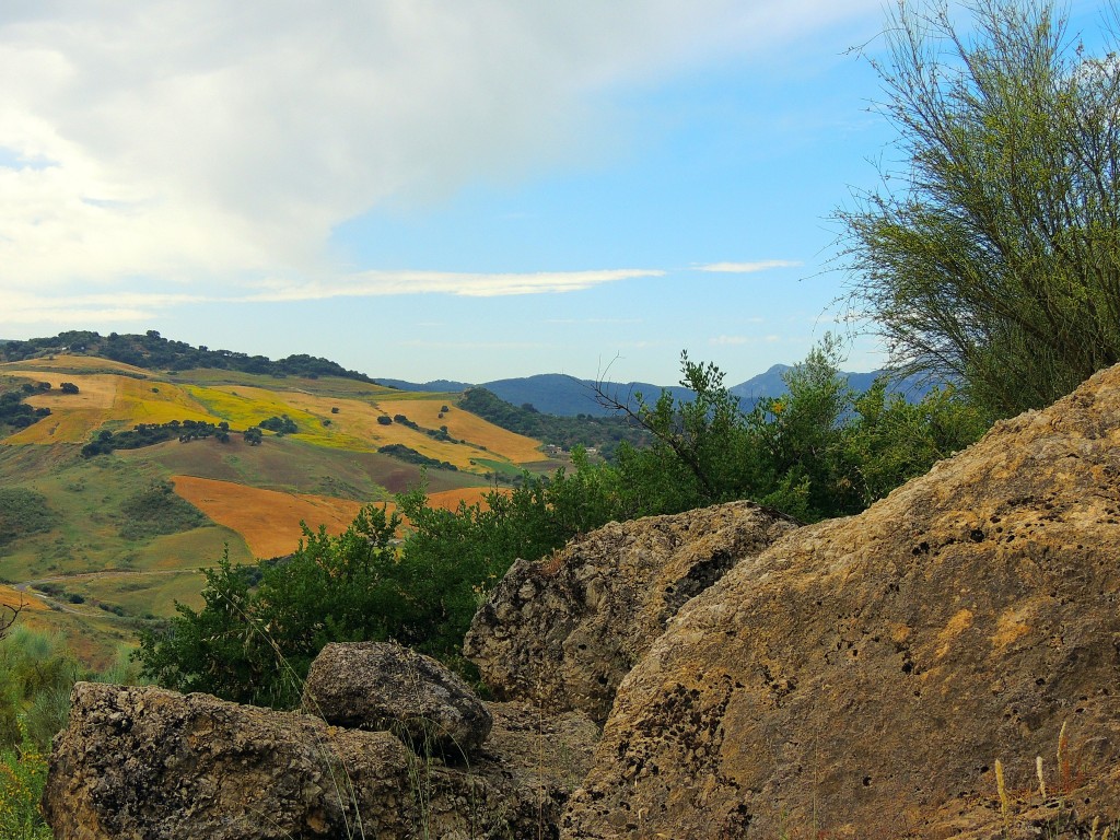 Foto de Montecorto (Málaga), España