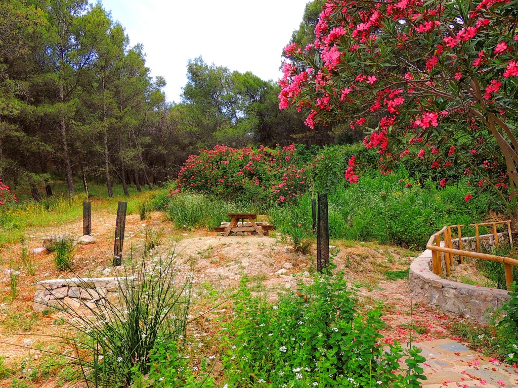 Foto de Montecorto (Málaga), España