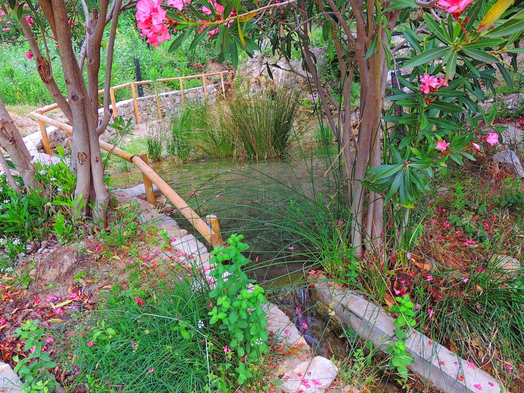 Foto de Montecorto (Málaga), España