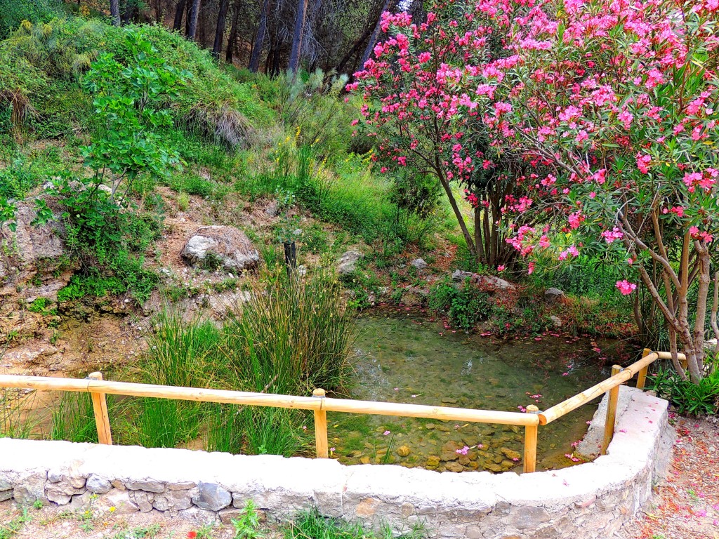 Foto de Montecorto (Málaga), España