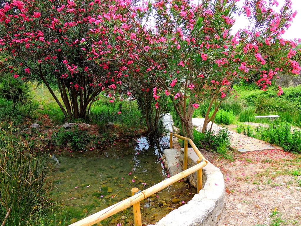 Foto de Montecorto (Málaga), España