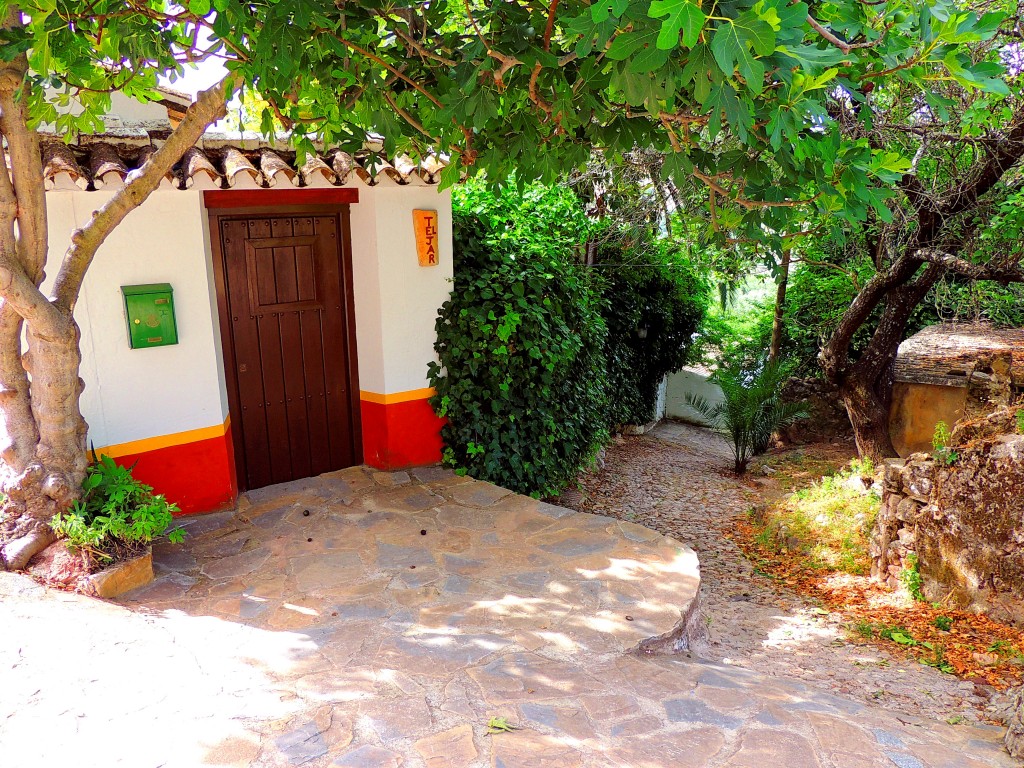 Foto: El Tejar - Montecorto (Málaga), España