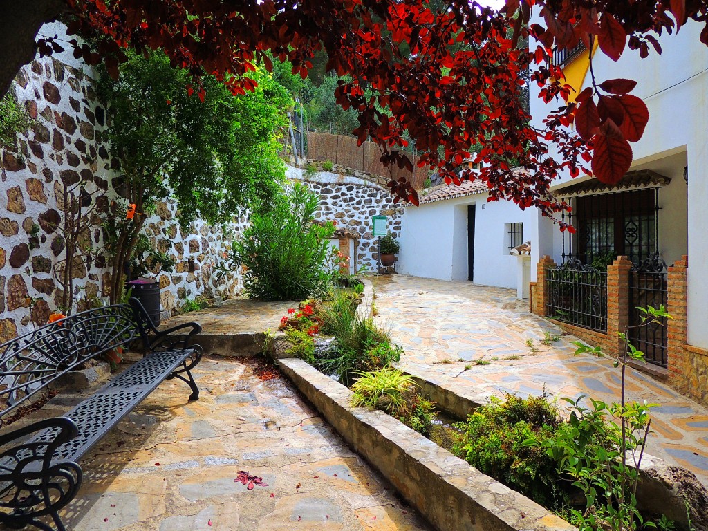 Foto de Montecorto (Málaga), España