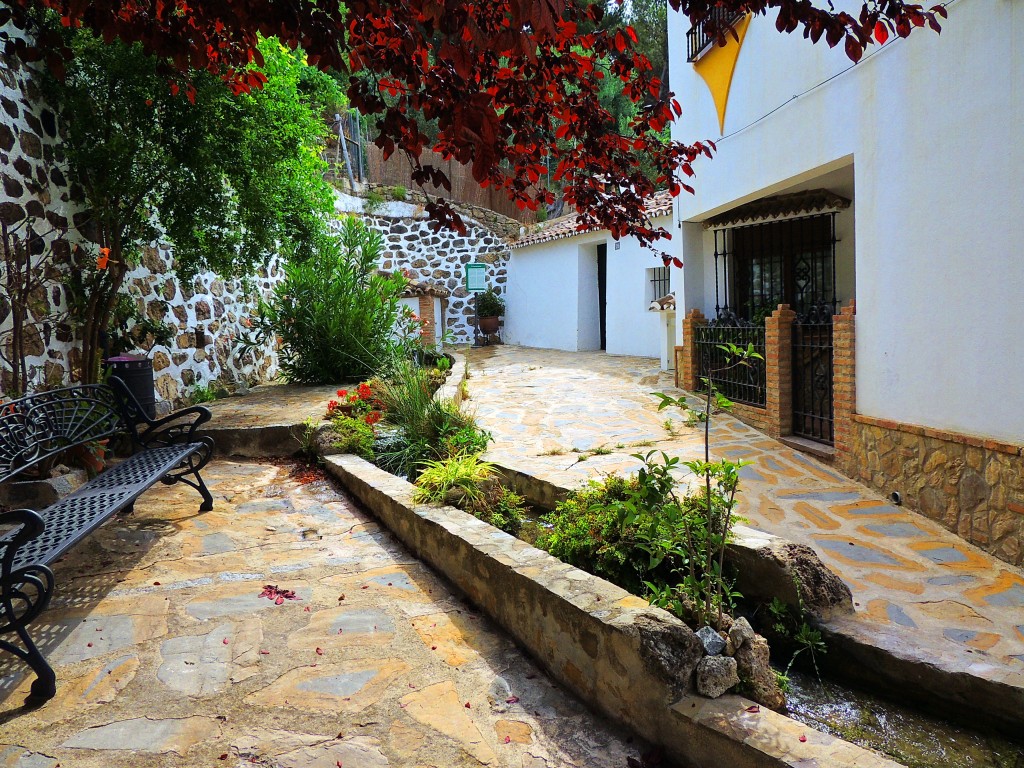 Foto de Montecorto (Málaga), España