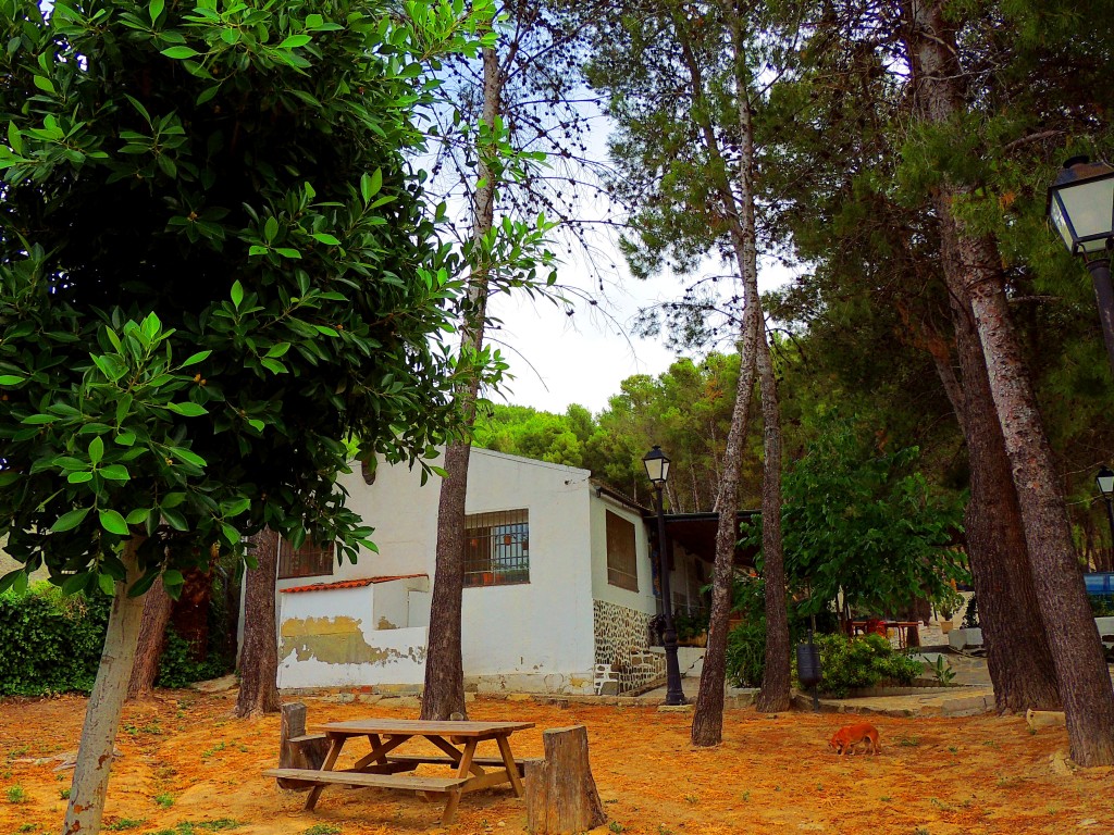 Foto: Bar la Piscina - Montecorto (Málaga), España