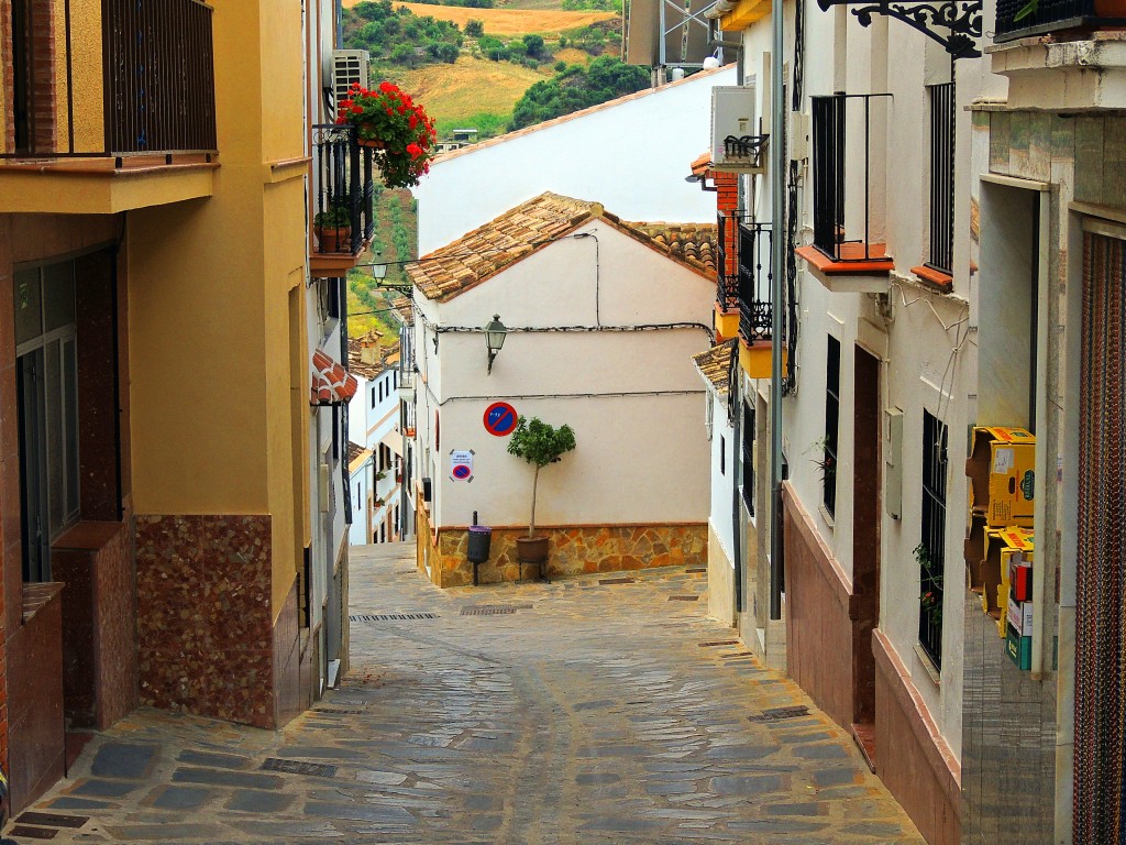 Foto: Calle Molino - Montecorto (Málaga), España
