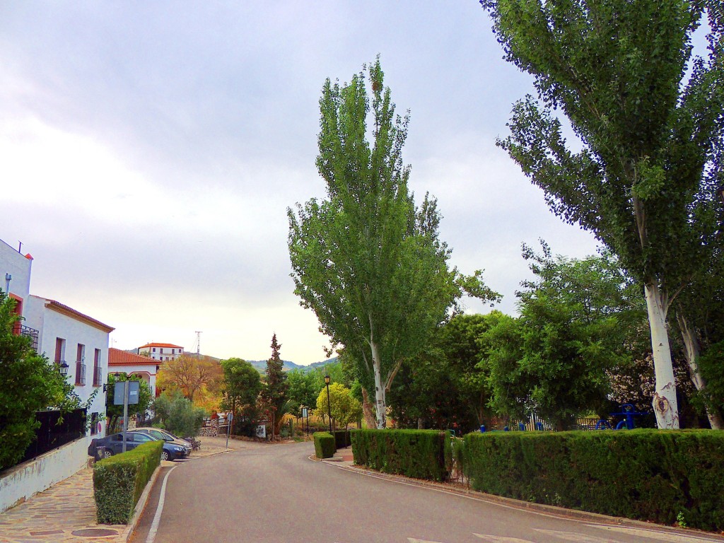 Foto: Avenida de la Constitución - Montecorto (Málaga), España