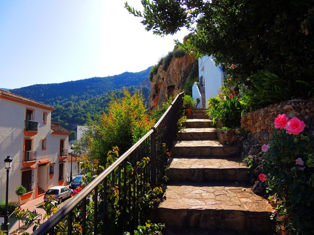 Foto: Subida a las Cuevas Altas - Ojen (Málaga), España